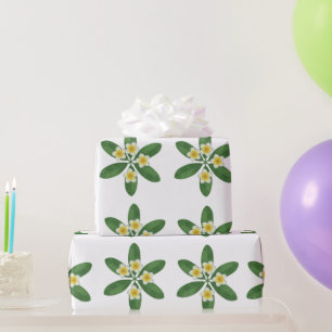Papier Cadeau Conception de broderie de frangipanier botanique