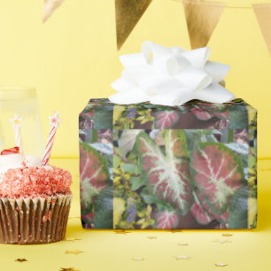 Papier Cadeau Conception de jardin de caladium Jardiniers Deligh