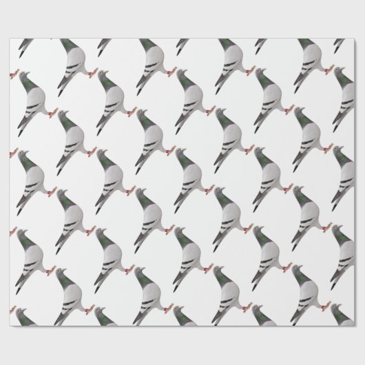 Papier Cadeau conception de pigeon (Plat)