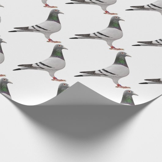 Papier Cadeau conception de pigeon (Coin)