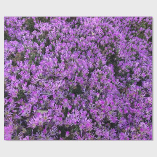Papier Cadeau Conception florale en violet (Plat)