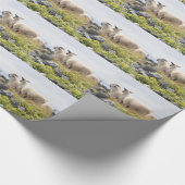 Papier Cadeau Conceptions originales - Moutons dans un champ (Coin)