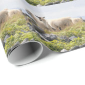 Papier Cadeau Conceptions originales - Moutons dans un champ (Coin rond)