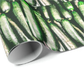 Papier Cadeau Concombre (Coin rond)