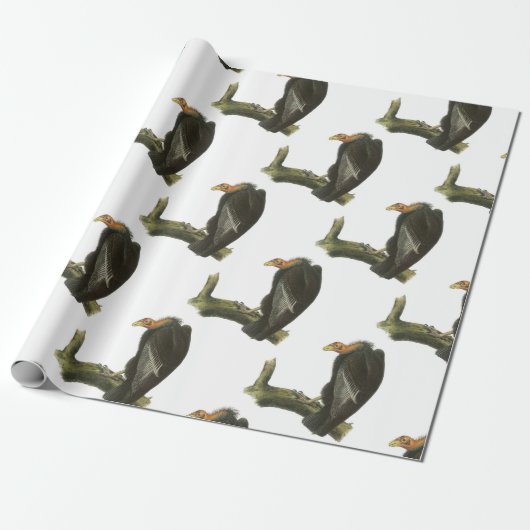 Papier Cadeau Condor de Californie par Audubon (Déroulé)