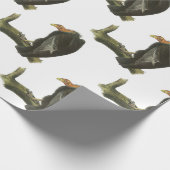 Papier Cadeau Condor de Californie par Audubon (Coin)