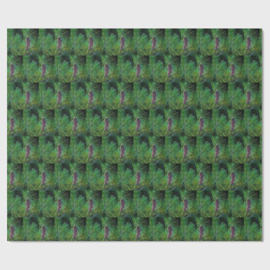 Papier Cadeau Cône de pin (Plat)