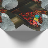 Papier Cadeau Congo African Grey Parrot Joyeux sapin de Noël (Coin)