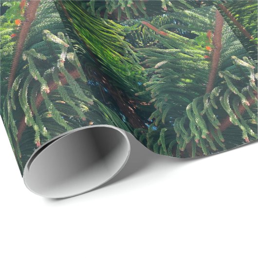 Papier Cadeau conifère à feuillage persistant de pin (Coin rond)