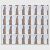 Papier Cadeau Construction de Flatiron (Plat)