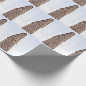 Papier Cadeau Construction de Flatiron (Coin)