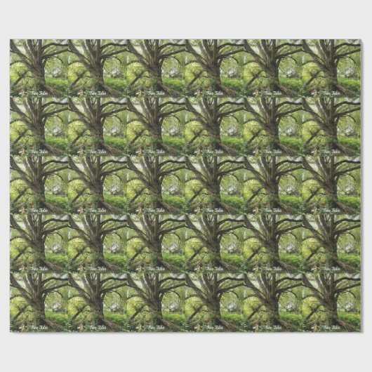 Papier Cadeau Contes d'arbres (Plat)