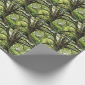 Papier Cadeau Contes d'arbres (Coin)