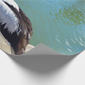 Papier Cadeau Conversation de dos pélican, papier d'enveloppemen (Coin)