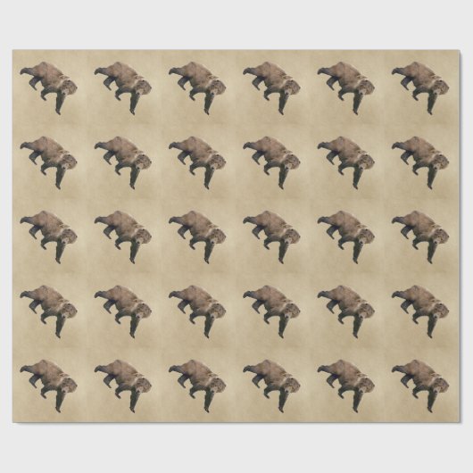 Papier Cadeau Cook bear (Plat)