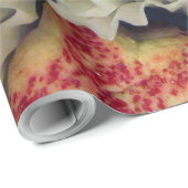 Papier Cadeau Cookies (Coin rond)