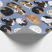 Papier Cadeau Cooniecurl (Coin)