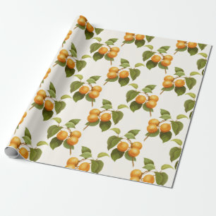 Papier Cadeau Copie d'abricot