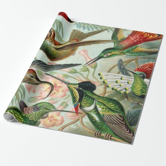 Papier Cadeau Copie d'art d'Ernst Haeckel : Trochilidae (Déroulé)