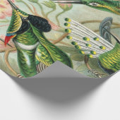 Papier Cadeau Copie d'art d'Ernst Haeckel : Trochilidae (Coin)