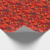 Papier Cadeau Coquelicot (Coin)