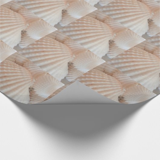 Papier Cadeau Coques de mer ensoleillées d'été romantique, exoti (Coin)