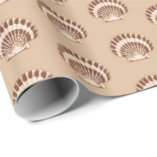Papier Cadeau Coques de mer - marron et beige