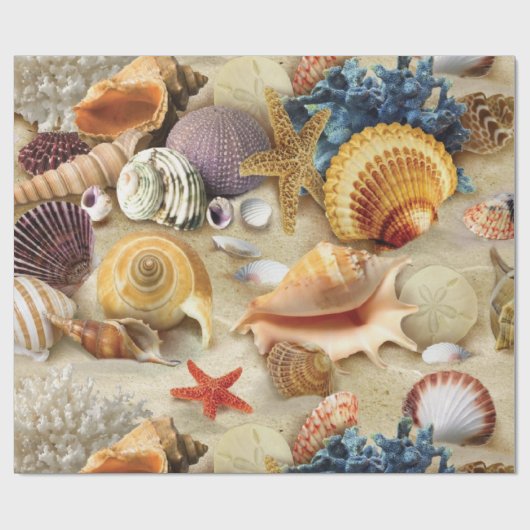 Papier Cadeau Coques de mer sur la plage (Plat)