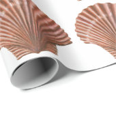 Papier Cadeau Coques de pétoncle (Coin rond)