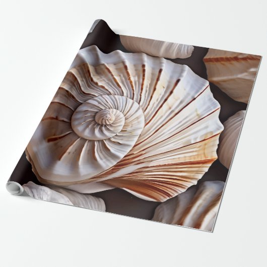 Papier Cadeau Coquillage et thème plage (Déroulé)