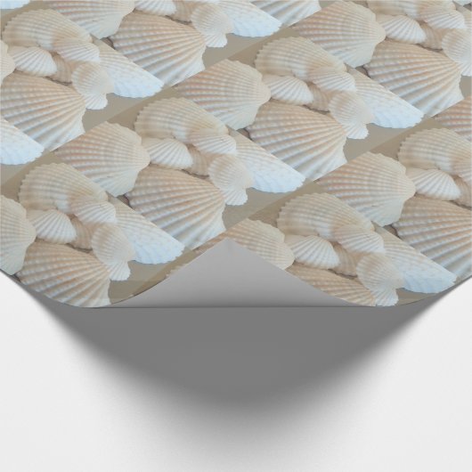 Papier Cadeau Coquillages blancs ensoleillés, Plage d'été Exotiq (Coin)