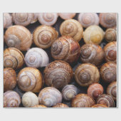 Papier Cadeau Coquillages d'escargot (Plat)