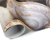 Papier Cadeau Coquillages d'escargot (Coin rond)