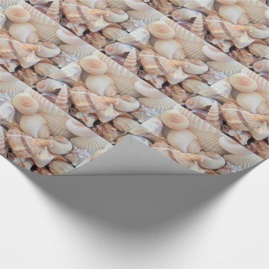 Papier Cadeau Coquillages d'été ensoleillé, Coquillages Amour de (Coin)