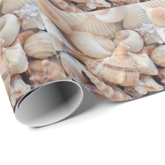 Papier Cadeau Coquillages d'été ensoleillé, Coquillages Amour de (Coin rond)