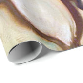 Papier Cadeau Coquilles de cauri (Coin rond)