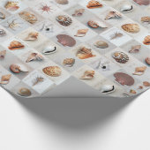 Papier Cadeau Coquilles sophistiquées (Coin)