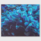 Papier Cadeau Corail bleu (Plat)