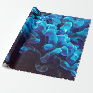 Papier Cadeau Corail bleu