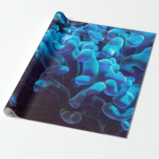 Papier Cadeau Corail bleu (Déroulé)