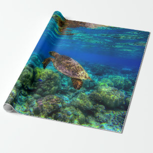 Papier Cadeau Corail de la tortue tropicale sous-marine