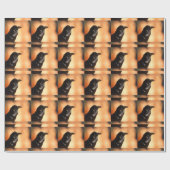 Papier Cadeau corbeau (Plat)