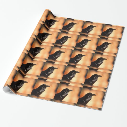 Papier Cadeau corbeau (Déroulé)