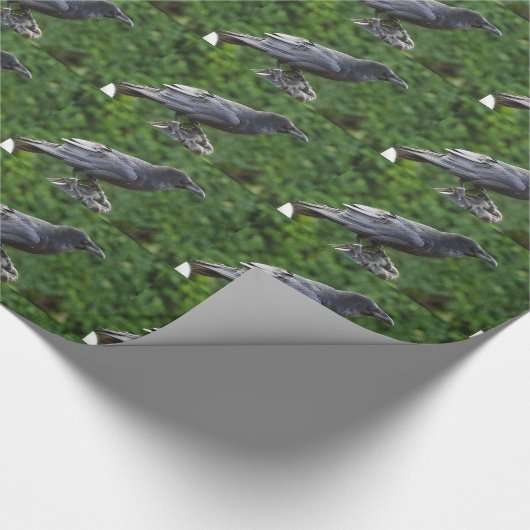 Papier Cadeau Corbeau noir (Coin)