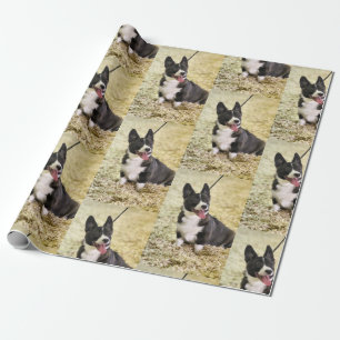 Papier Cadeau Corgi