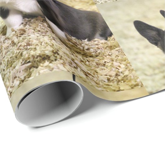 Papier Cadeau Corgi (Coin rond)