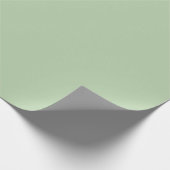 Papier Cadeau Coriander Solid Plain Color (Coin)