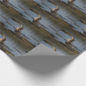 Papier Cadeau Cormorant à double poitrine (Coin)