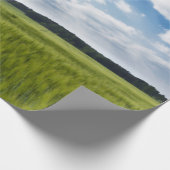 Papier Cadeau Corneilles vertes et ciels bleus (Coin)