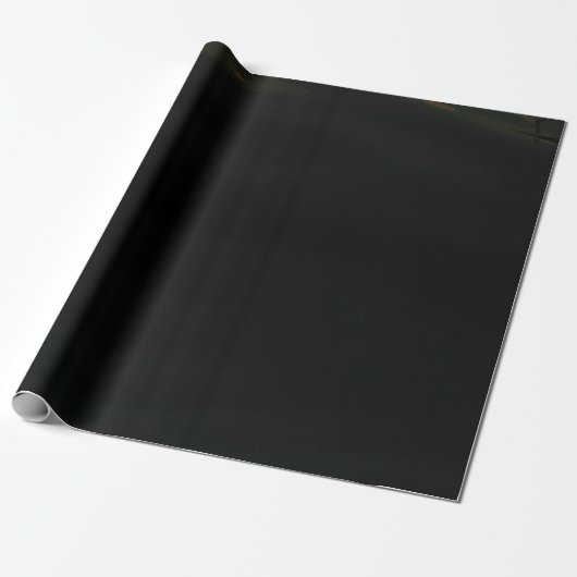 Papier Cadeau Corps d'eau (Déroulé)